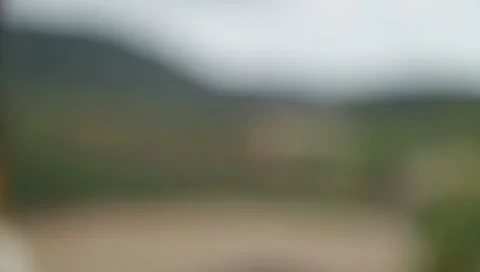 Rack focus landscape of a vineyard in Sonoma, CA Видео 8969383