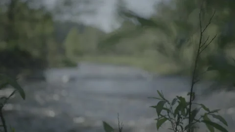 Rack focus from a leaf to a water stream. Stock Footage 148567292