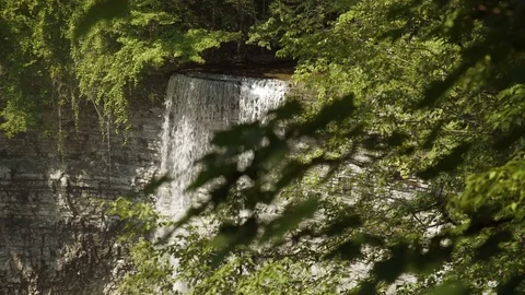 Rack focus from leaves on a tree to a beautiful waterfall. Stock Footage 78953692
