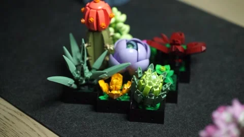 Rack Focus of Lego Succulents Stock Footage 247274082