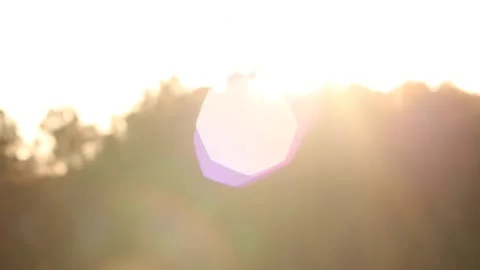 Rack Focus Lens Flare from Sun and Trees to Blur Stock Footage 236812030