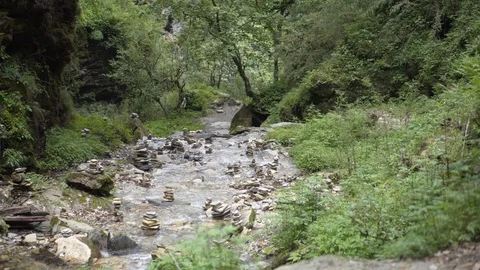 Rack focus low to high shot from plant to river and balancing cairn stones Stock Footage 91434437