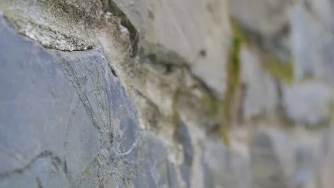 Rack focus macro large stone wall moss.mov Stockbeeldmateriaal 106150452