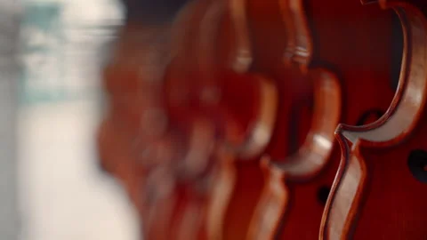 Rack focus on many hanging violins in the shop window. Violin sales, large range Stock Footage 280402691