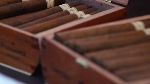 Rack focus medium close up of cigar box Stock Footage 87537225