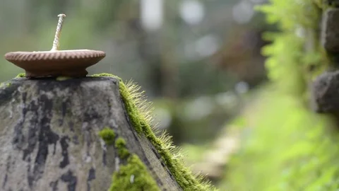 Rack focus moss and candle in temple. 스톡 동영상 79748518