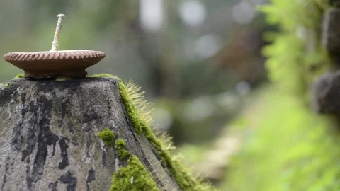 Rack focus moss and candle in temple. Video stock 79781087