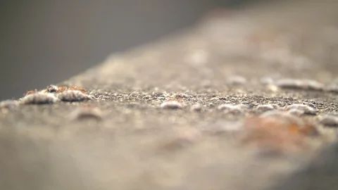 Rack Focus on Old Concrete Stock Footage 89945542