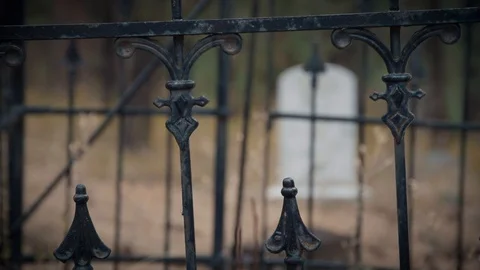 Rack Focus of Old, Stone Grave Under the Falling Autumn Leaves Stock Footage 90870106