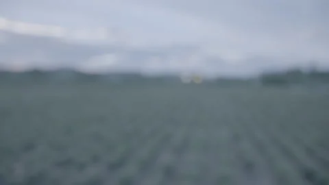 Rack Focus On An Open Field Located In Grasse, France - No LUT Version Stock Footage 222049221