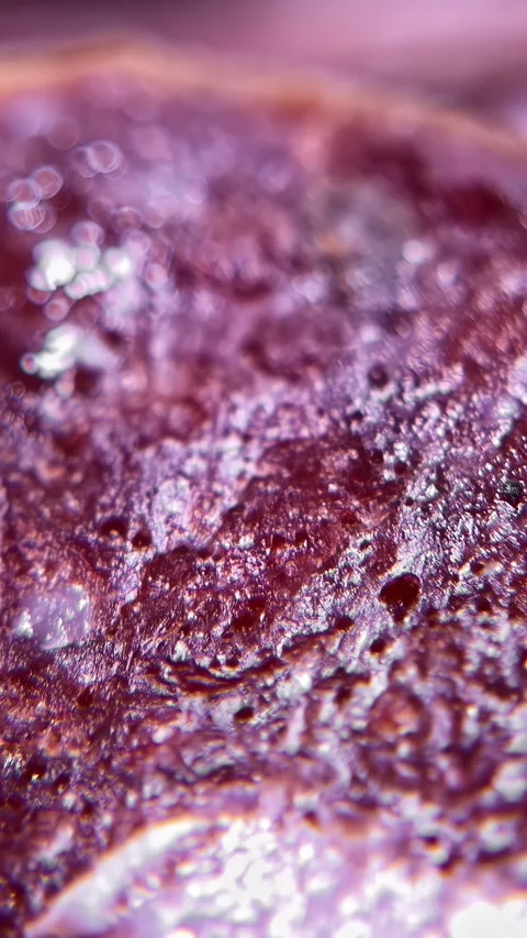 Rack Focus Over Raw Beef Steak Texture Capturing the Marbled Surface of Fresh Stock Footage 337210538