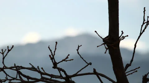 Rack Focus at Pike's Peak Stock Footage 25240282