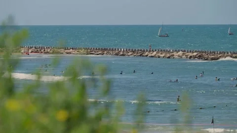 Rack focus from plants to the Tel Aviv beach scene Stock Footage 345653628