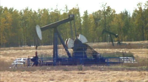 Rack focus of pump jacks working in a field for oil and gas industry. Stock Footage 59842273