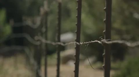Rack Focus Ranch Barb Wire Fence Stock Footage 59101304