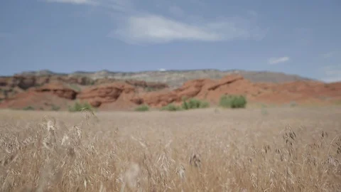 Rack Focus Red Rock Ridge Gates of Lodore Stock Footage 121590734