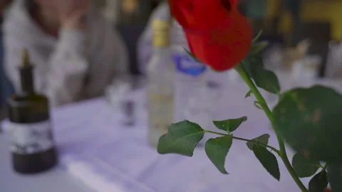 Rack focus from a red rose to a turkish raki , Foça, Turkey 7 May 2023 Vidéo 332082375