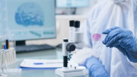 Rack focus on researcher in laboratory using a sample under the microscope Stock Footage 108739543