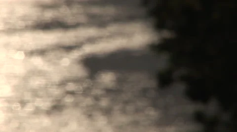 Rack focus to river and trees Stock Footage 41179641