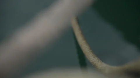 Rack Focus of Rope Mooring Lines in the Water HD Video Stock Footage 28916841