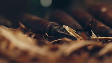 Rack Focus Rotation: Chisel and Wood Shavings, 4K Rotating Macro Vídeos de archivo 328320363