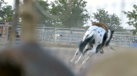 Rack Focus from Running Horse to Western Saddle Stock Footage 59893842