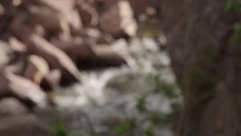 Rack focus of rushing river outside of Boulder, Colorado 库存影片 76412886