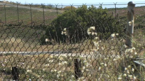 Rack Focus - Rusty Chain Link Fence - Foreground Flowers - Field in Distance Stock Footage 4279824