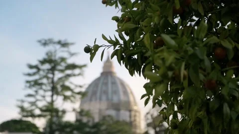 Rack focus on Saint Peter Basilica dome. Stock Footage 198739370
