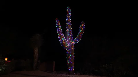 Rack focus shot of Christmas lights on a Saguaro cactus in Arizona Stock Footage 230237592