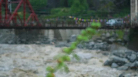 Rack focus shot of heavy rain falling on plant and flooded Beas river in backgro 動画素材 315673269