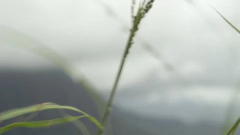 Rack Focus Shot To Mountain Video stock 131891462