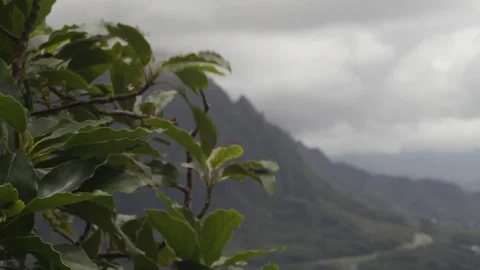 Rack Focus shot of Mountain Road Video stock 127066505