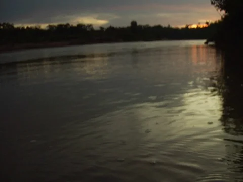 Rack Focus Shot of River Current in Amazon Jungle Rainforest at Sunset Stock Footage 112944080