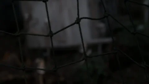 Rack focus slider of net to skulls on spikes haunted Video stock 95962360