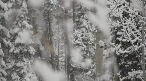 Rack Focus Slow Motion Snowfall Stock Footage 57239681