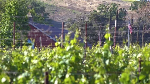 Rack focus of a small organic farm flying the American flag in Santa Ynez, Santa Stockbeeldmateriaal 139420020