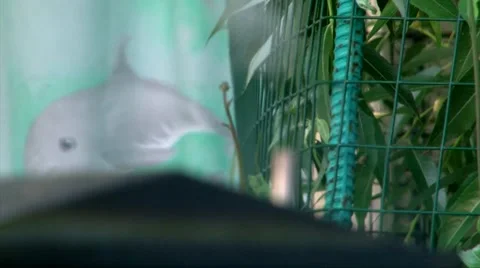 Rack focus smoke rises from smoke box roof through tubule, close up shoot Stock Footage 63412094