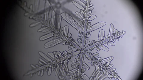 Rack focus of snowflake in microscope Stock Footage 87463697