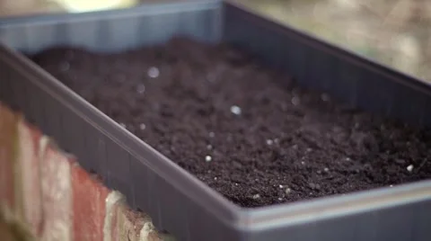 Rack Focus of Soil In Planter Video stock 52999364