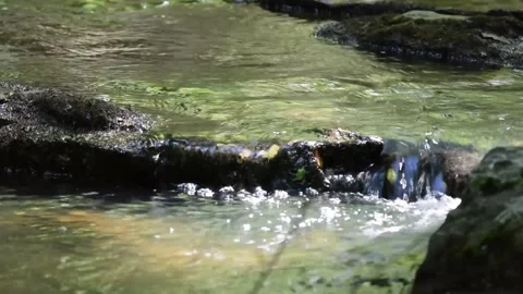 RACK FOCUS- SPARKLING WATER IN A SMALL STREAM Vídeos de archivo 132455182