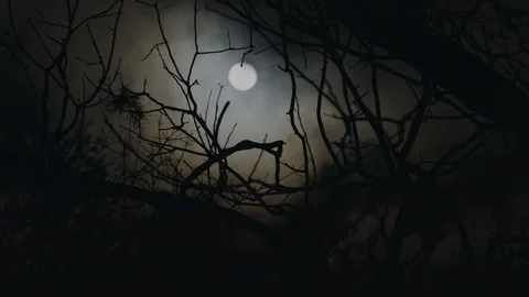 Rack focus to a spooky full moon on a foggy night Stock Footage