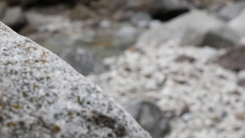 Rack focus stone water river 4k Stock Footage 87862717