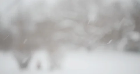 Rack focus of a suburban back yard snow fall 스톡 동영상 90291007