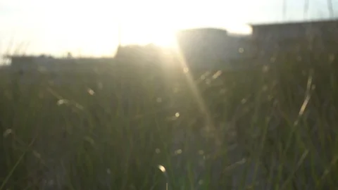 Rack focus on sunset dunes Stock Footage 98909351