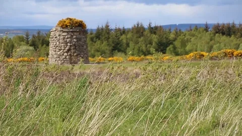Rack Focus from tall grass to stone structure in field Stock Footage 89588309
