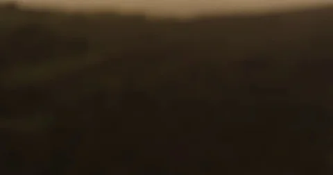 Rack focus through rain to trees on hillside Video stock 82079714