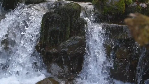 Rack focus tight dolly shot of slow motion waterfall and moss covered log Stock Footage 85102416