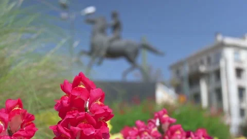 Rack focus transition from a red flower to a statue. Stock Footage