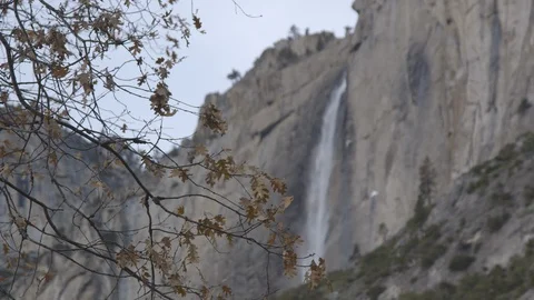 Rack Focus Tree Branches to Yosemite Falls Stock Footage 122400551
